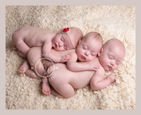 Newborn Triplets